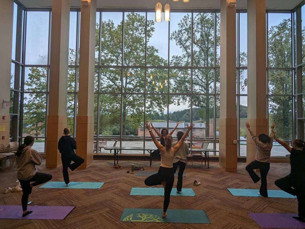 Group of students participating in yoga
