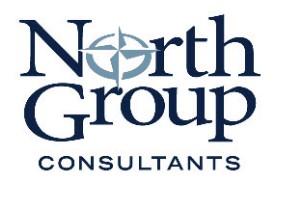 Northgroup consultants logo