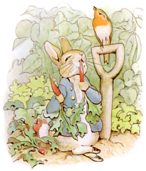 Peterrabbit &amp; me Peterrabbit picpic